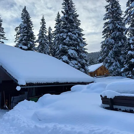 Vakantiehuis Almhuette Tamberger In Der Feldpann-alm