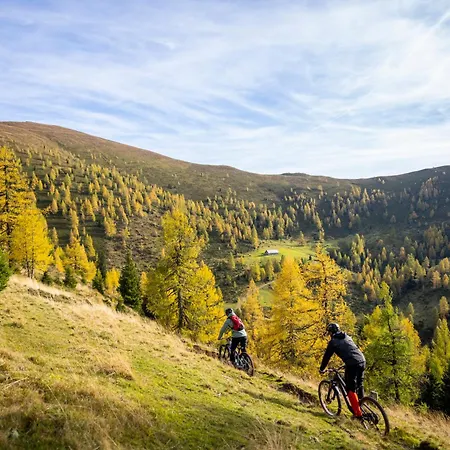Almhütte Tamberger In Der Feldpann-alm * Rauth