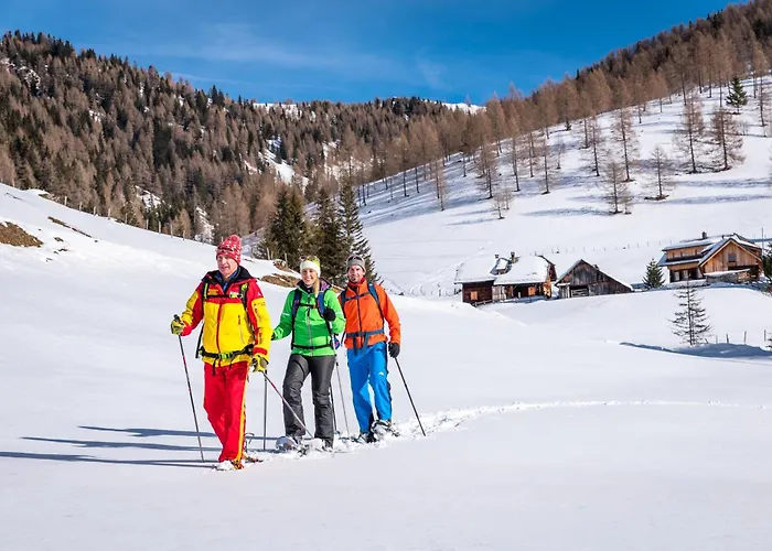 Almhütte Tamberger In Der Feldpann-alm *