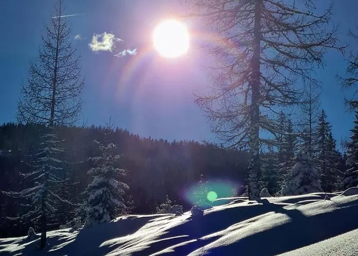 度假居 Almhuette Tamberger In Der Feldpann-alm Rauth