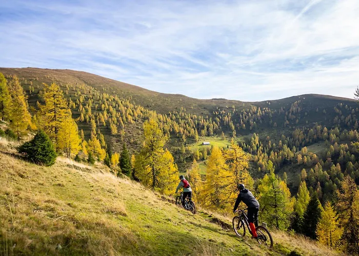 Almhütte Tamberger In Der Feldpann-alm * Rauth